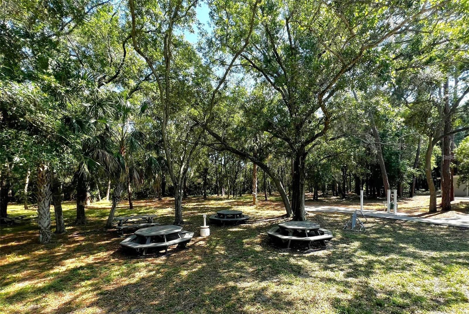 1400 Gandy Blvd N #1705 Property Photo 66