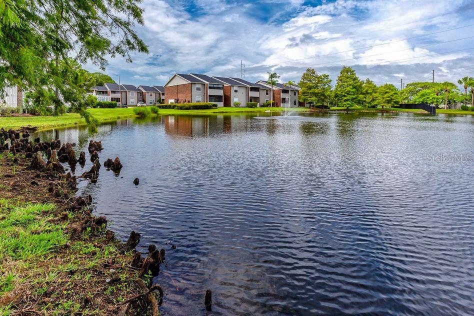 1400 Gandy Blvd N #1705 Property Photo 71