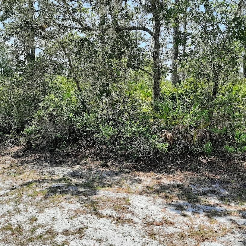 211 CAMELLIA DR Property Photo 1