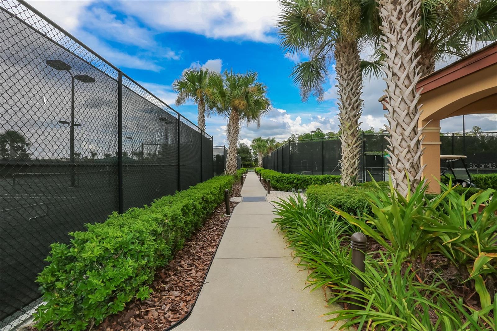 16227 Cape Coral Dr Property Photo 55