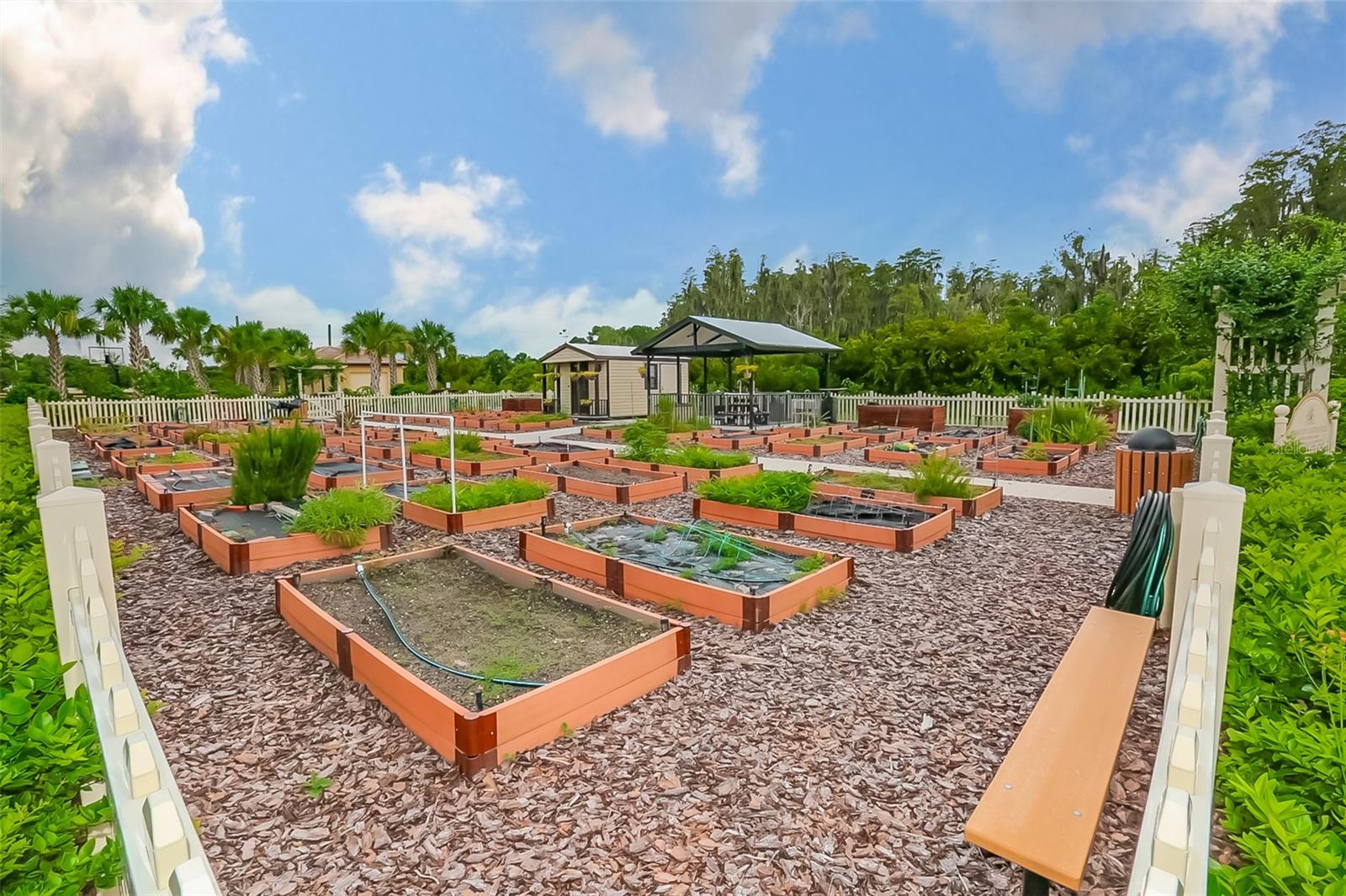 16227 Cape Coral Dr Property Photo 62