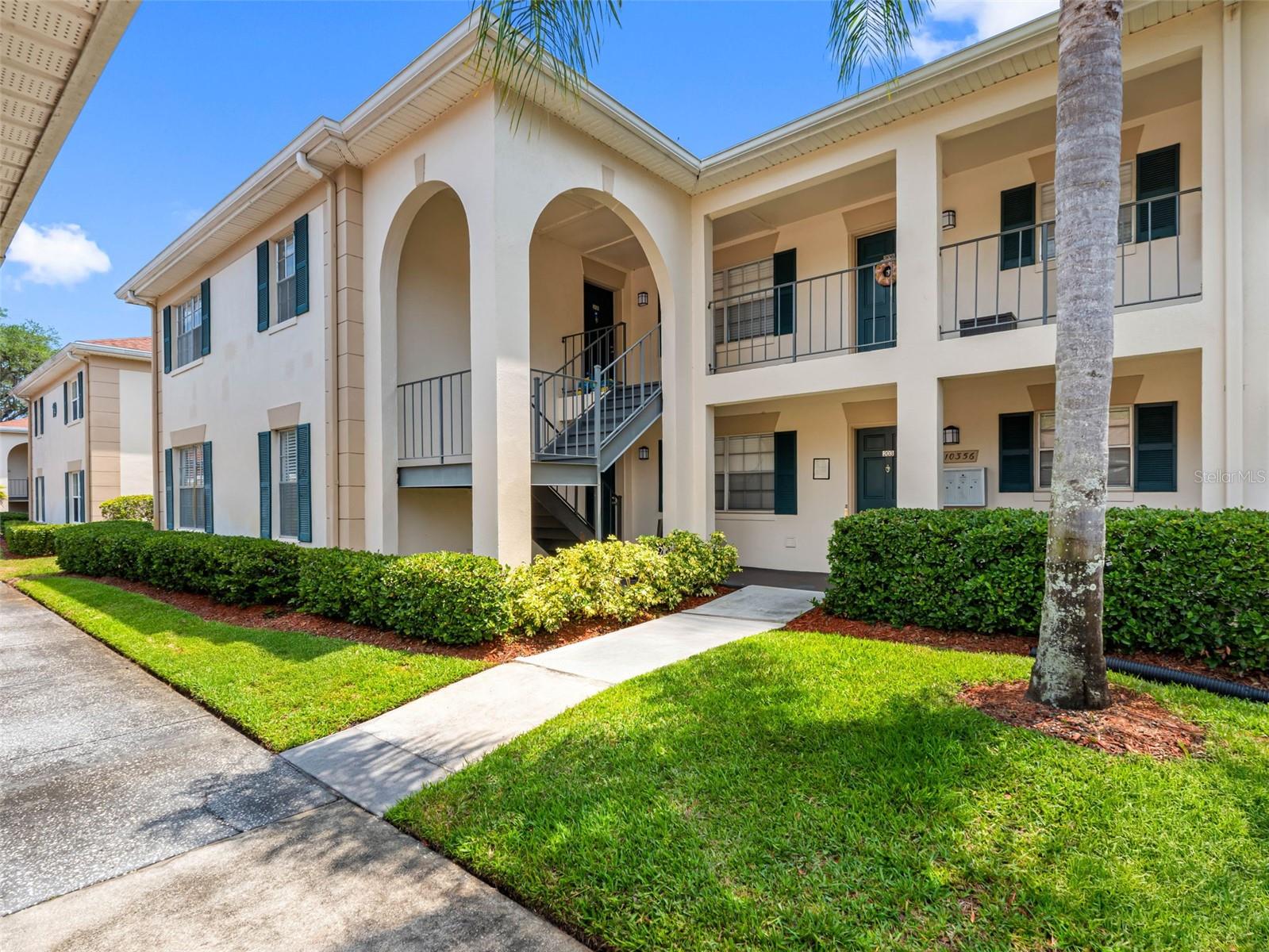 10356 Carrollwood Ln #204 Property Photo 1