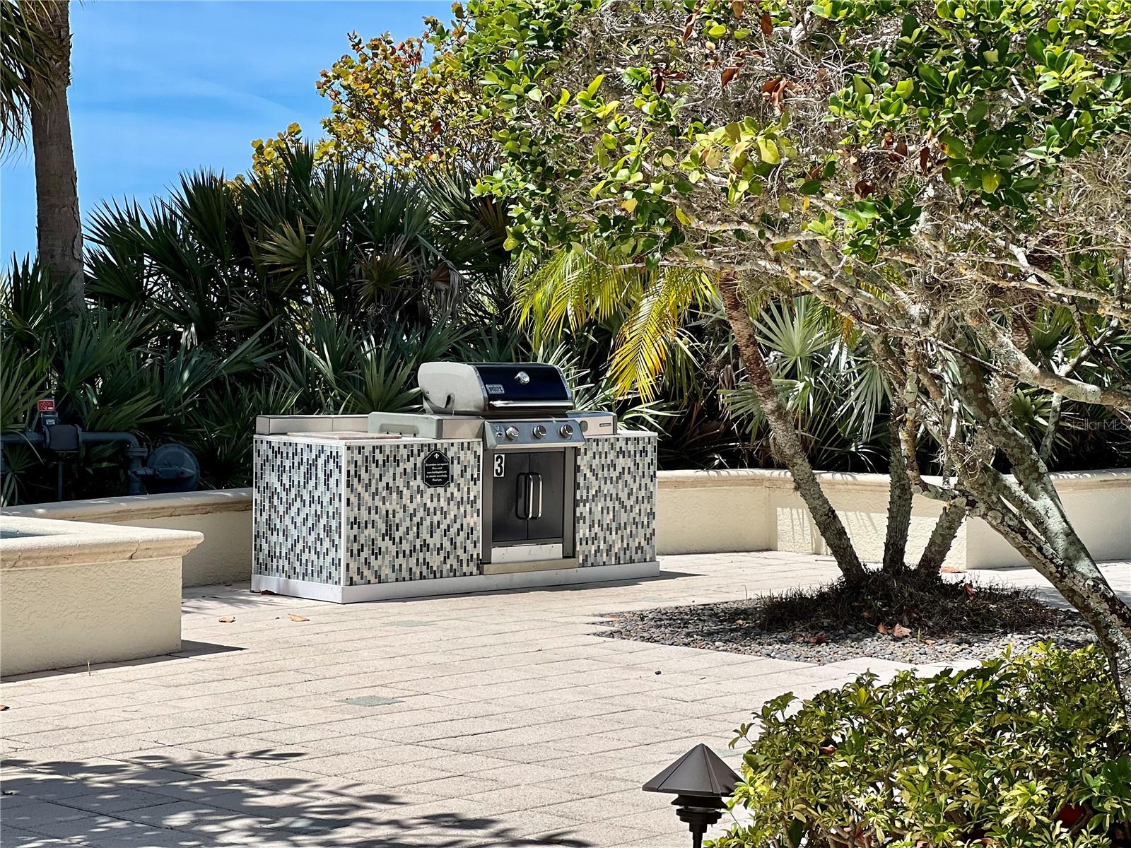 1180 Gulf Blvd #306 Property Photo 80