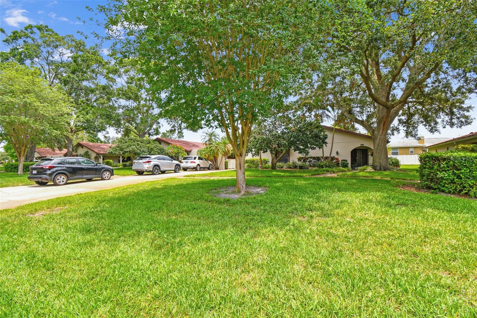 3476 Tarpon Woods Blvd Property Photo 2