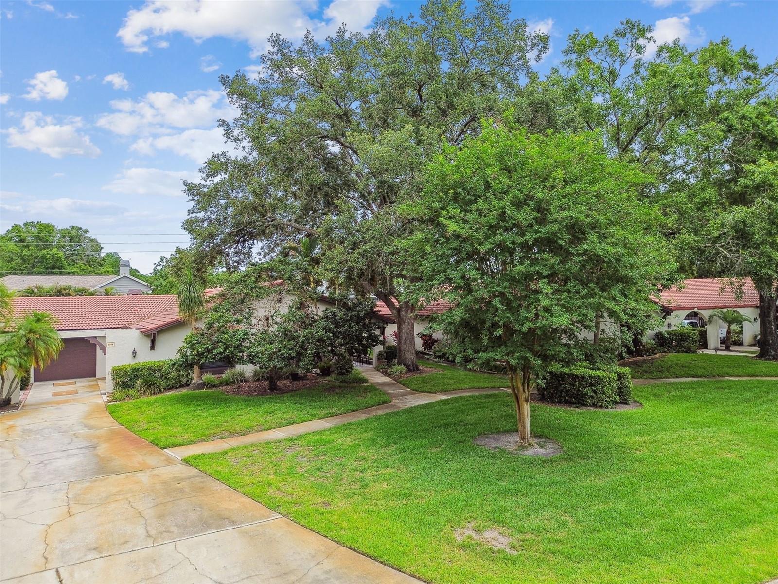 3476 Tarpon Woods Blvd Property Photo 47