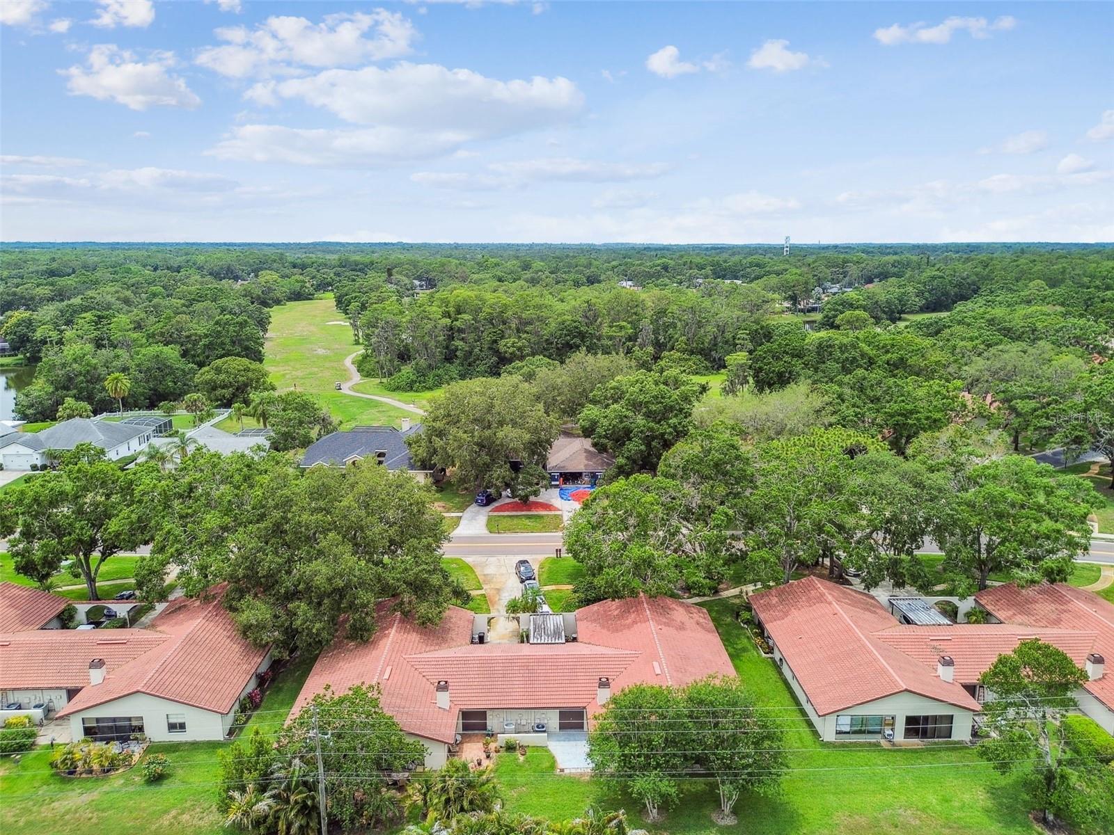 3476 Tarpon Woods Blvd Property Photo 49