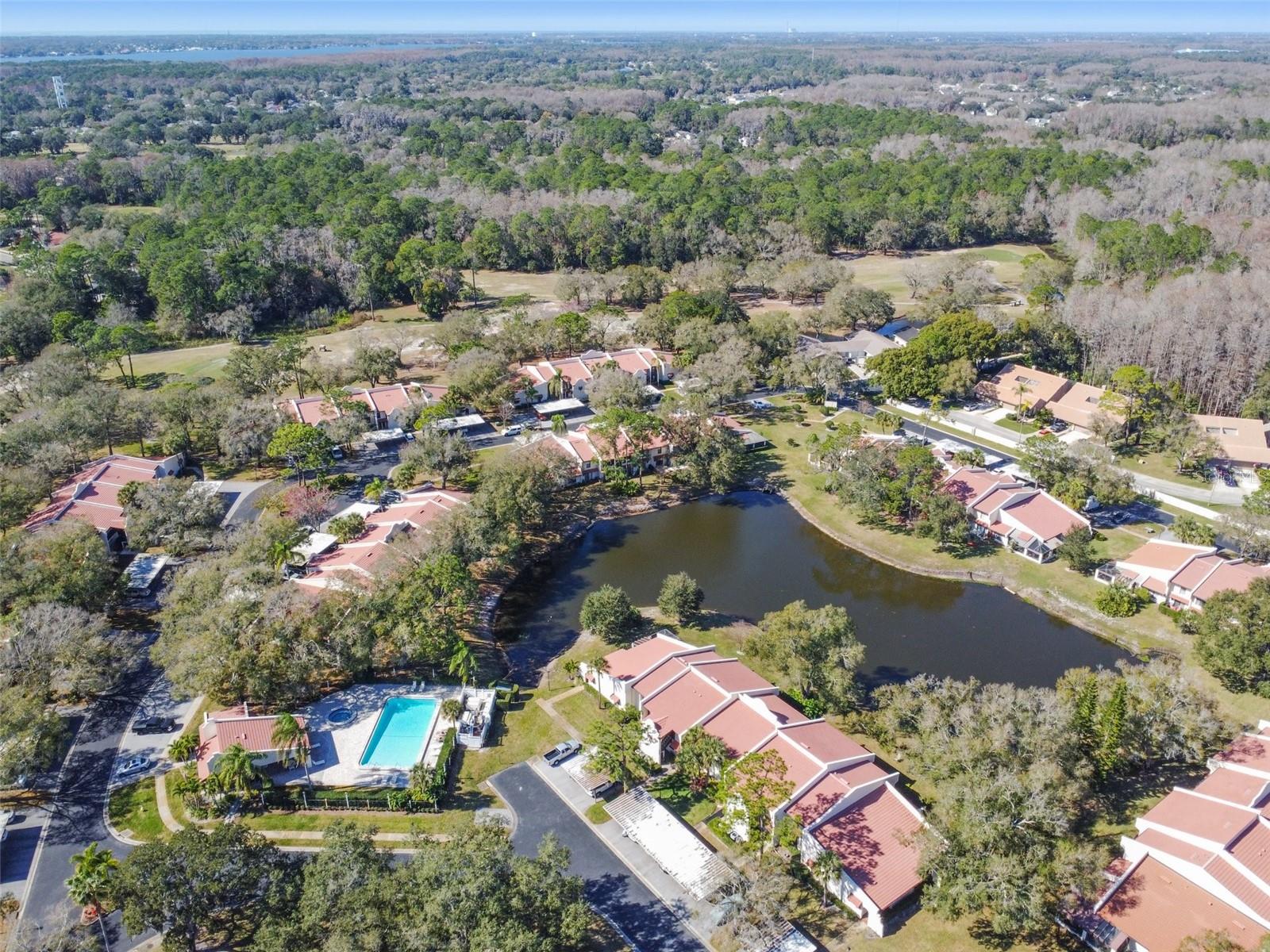 3476 Tarpon Woods Blvd Property Photo 51