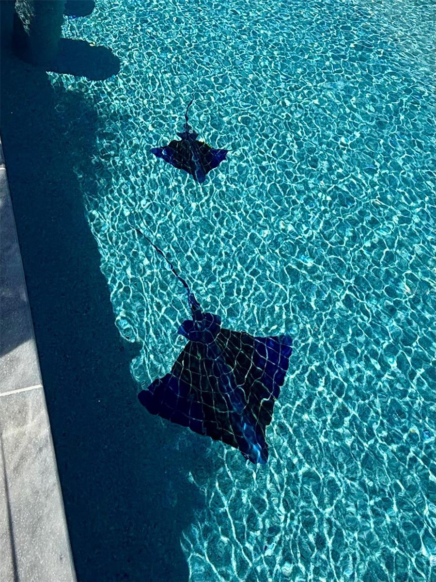 12300 4th St E Property Photo 66