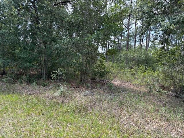 213 Plumosa Dr Property Photo 1