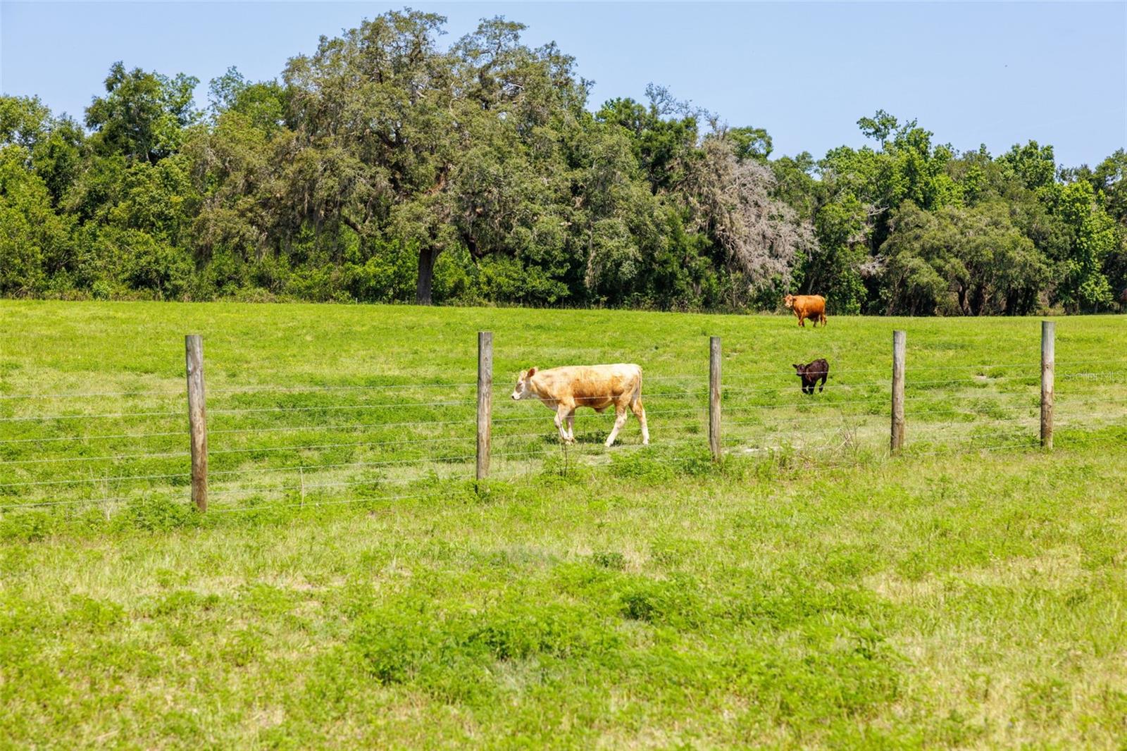 21455 Us Hwy 98 Property Photo 40