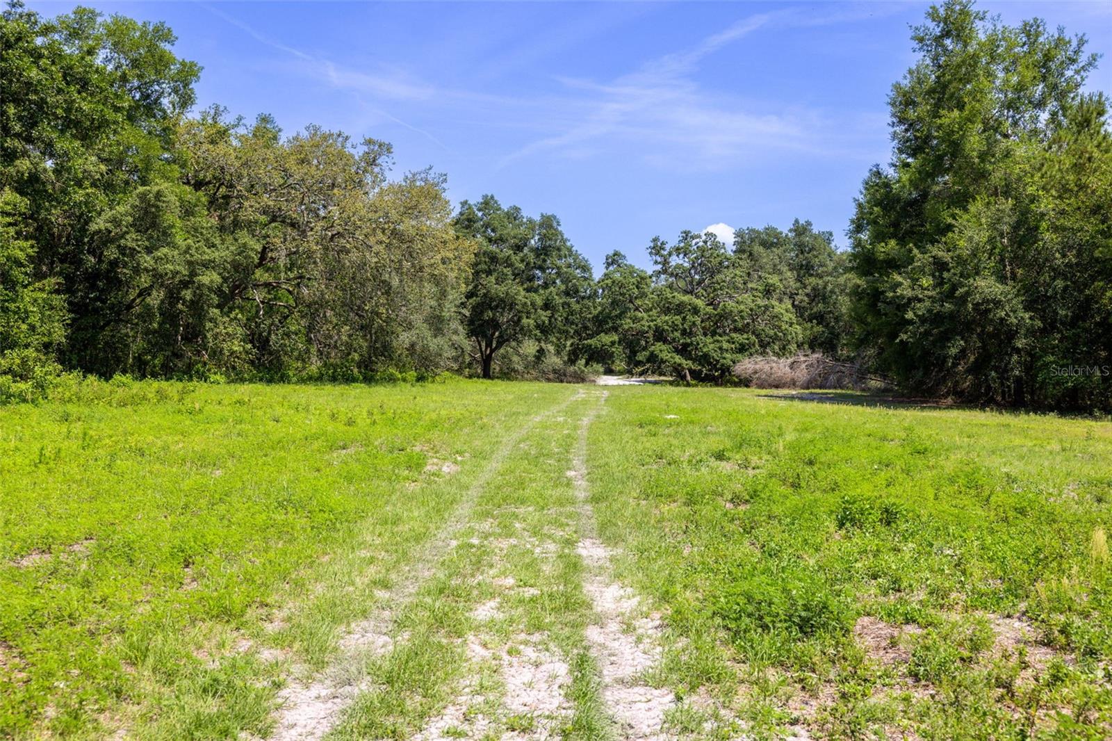 21455 Us Hwy 98 Property Photo 41