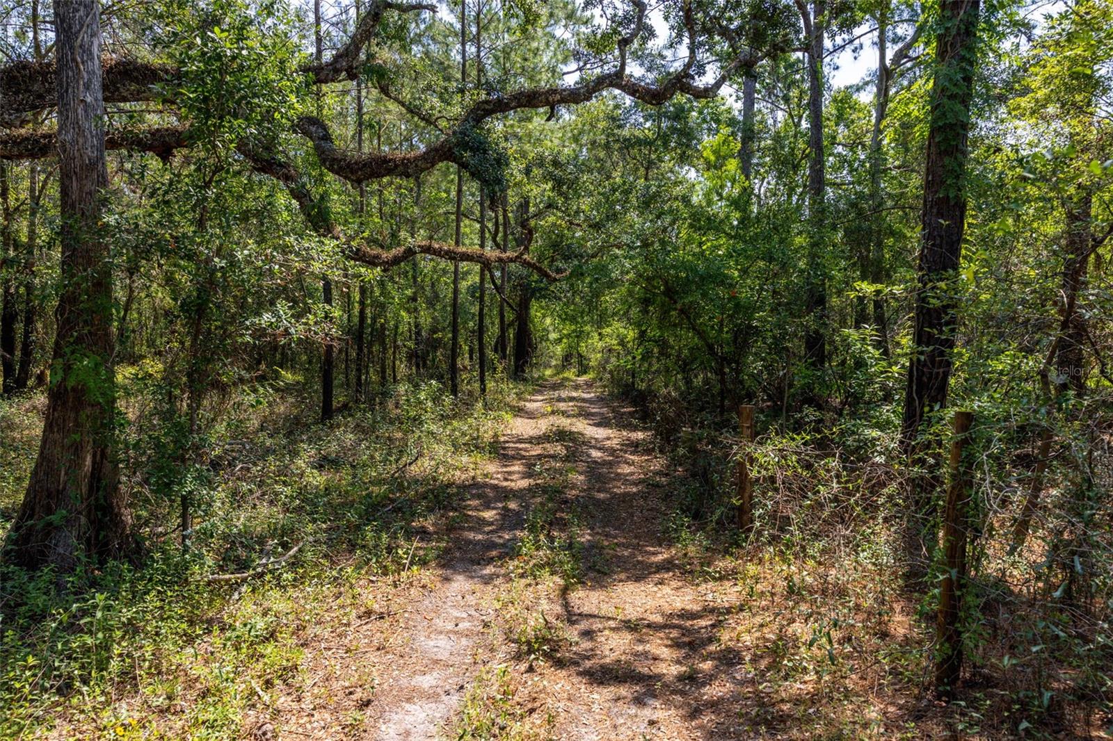 21455 Us Hwy 98 Property Photo 44