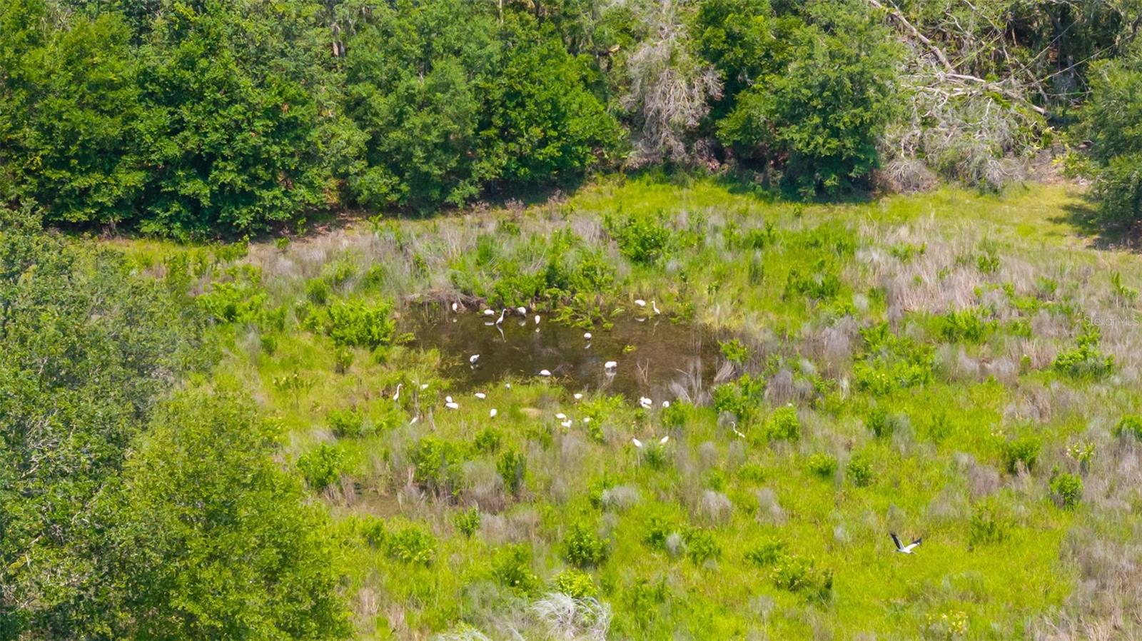 21455 Us Hwy 98 Property Photo 49