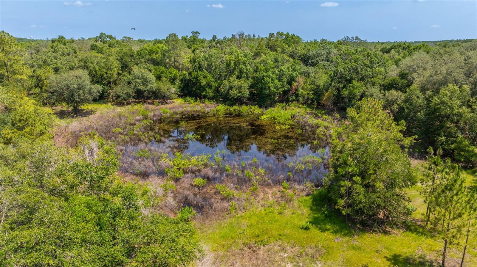21455 Us Hwy 98 Property Photo 50