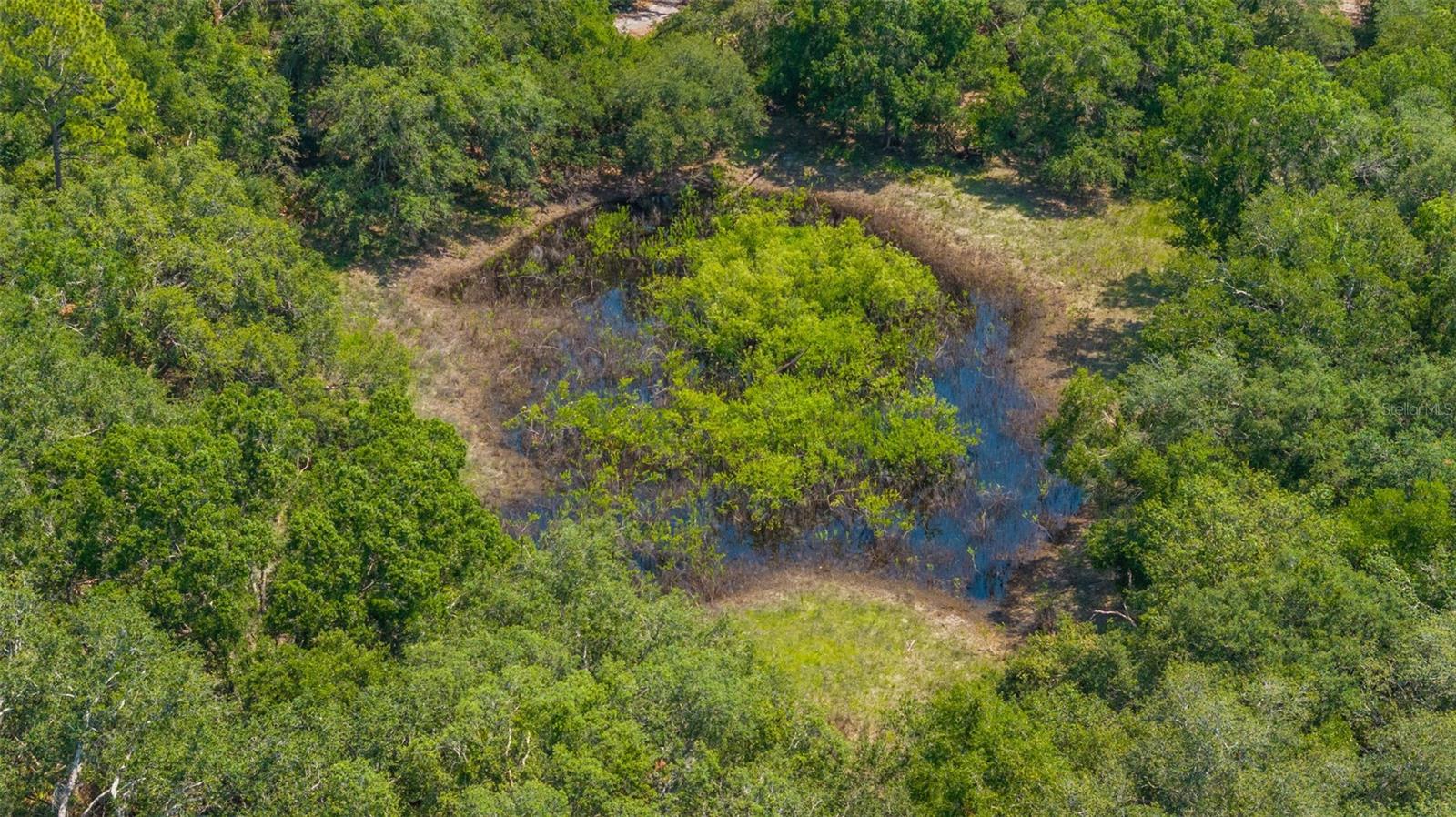 21455 Us Hwy 98 Property Photo 52