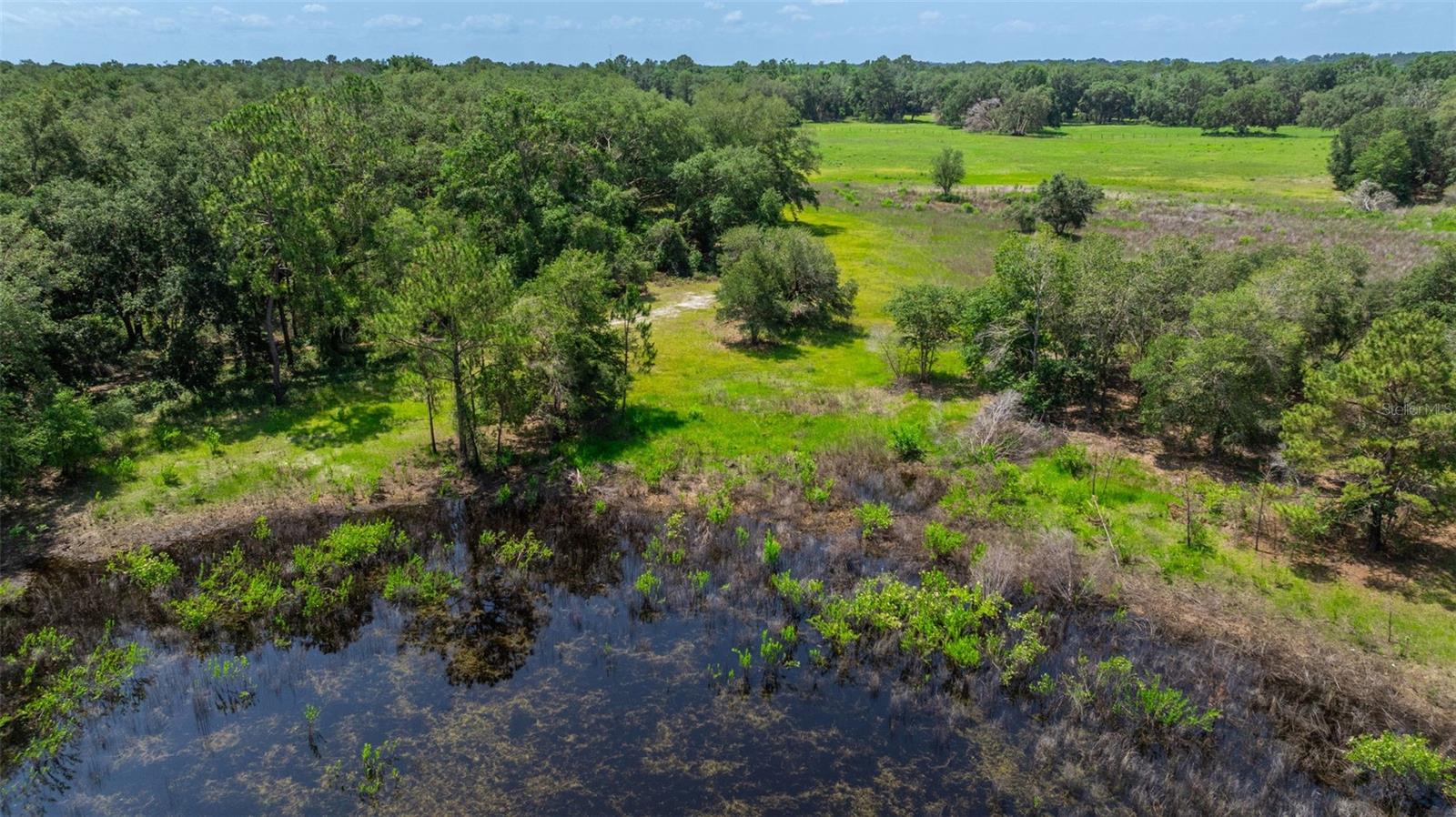 21455 Us Hwy 98 Property Photo 60