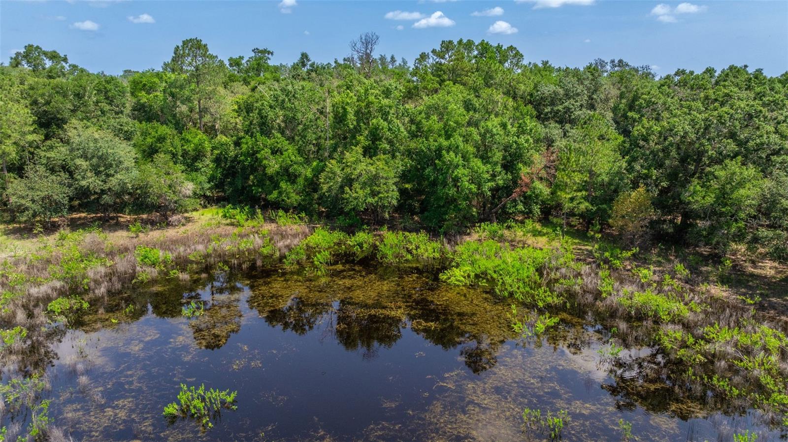 21455 Us Hwy 98 Property Photo 61