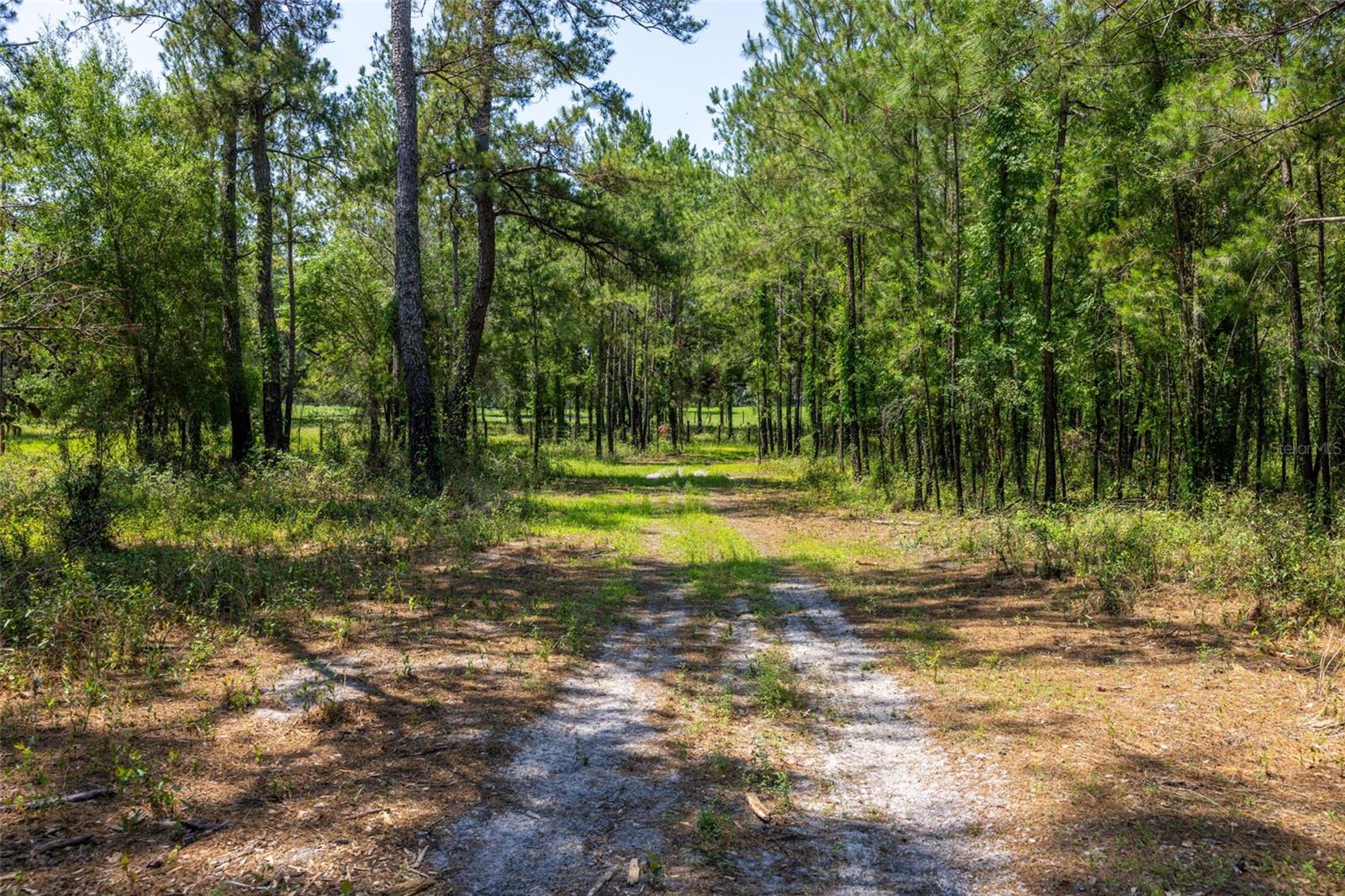 21455 Us Hwy 98 Property Photo 64