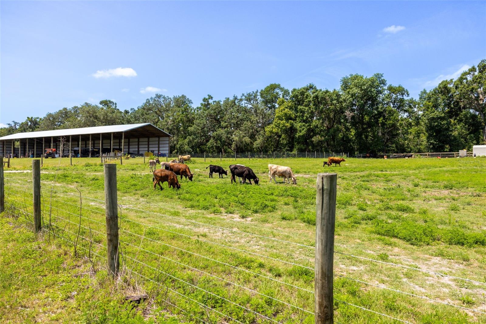 21455 Us Hwy 98 Property Photo 65