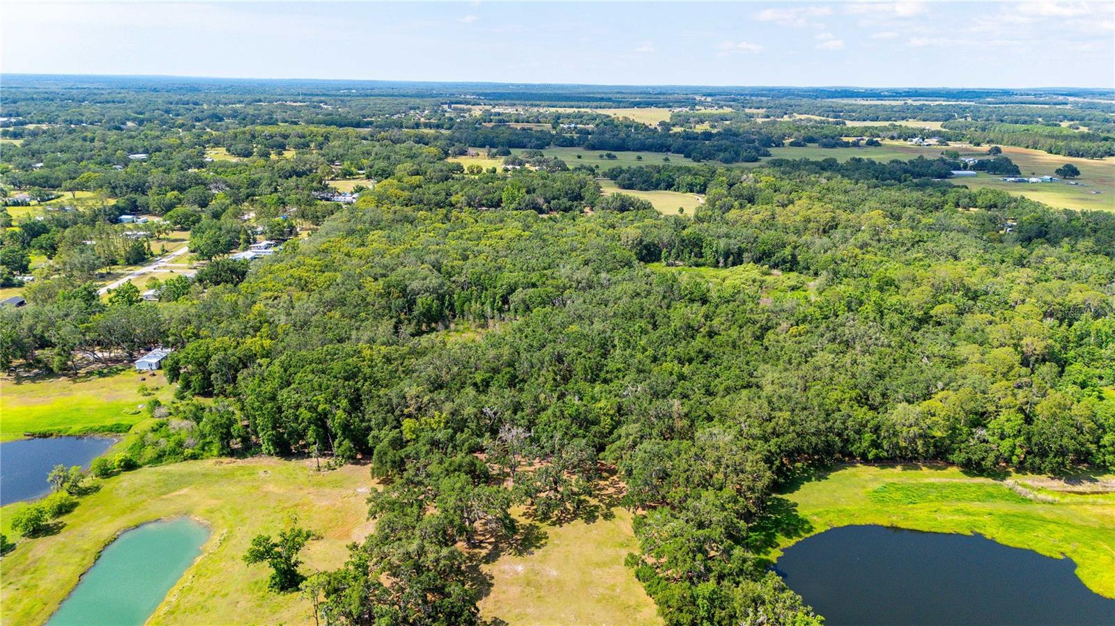 Bradley Dr Property Photo 16