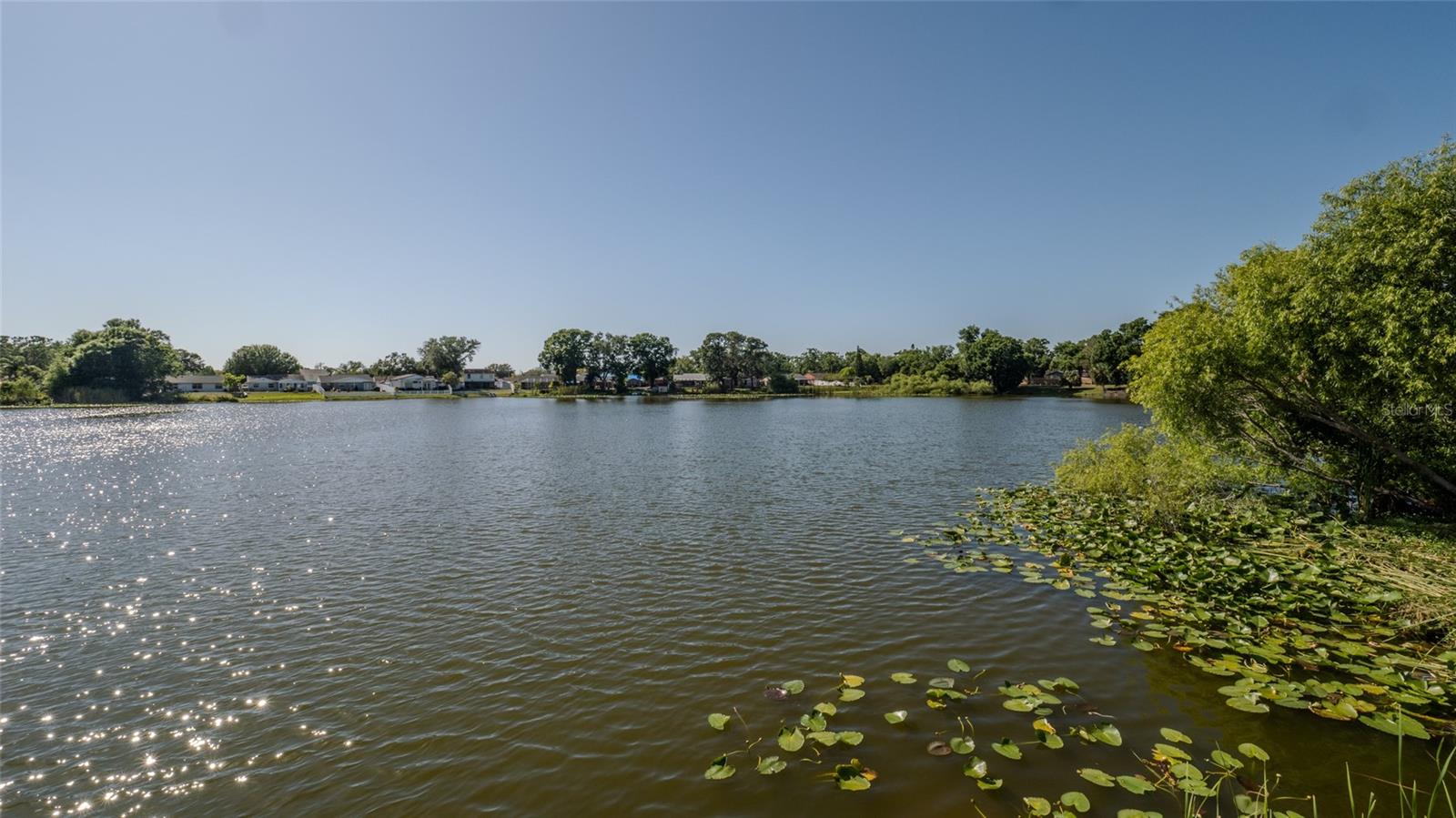 12416 Queensland Ln Property Photo 38