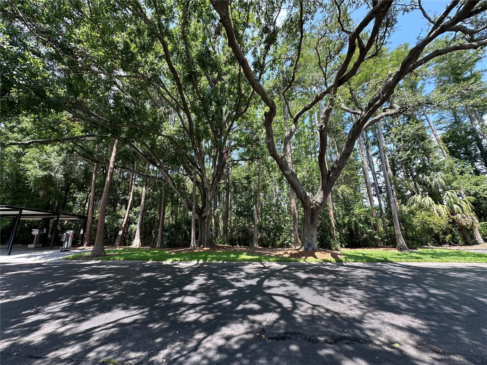13709 Juniper Blossom Dr #0 Property Photo 27
