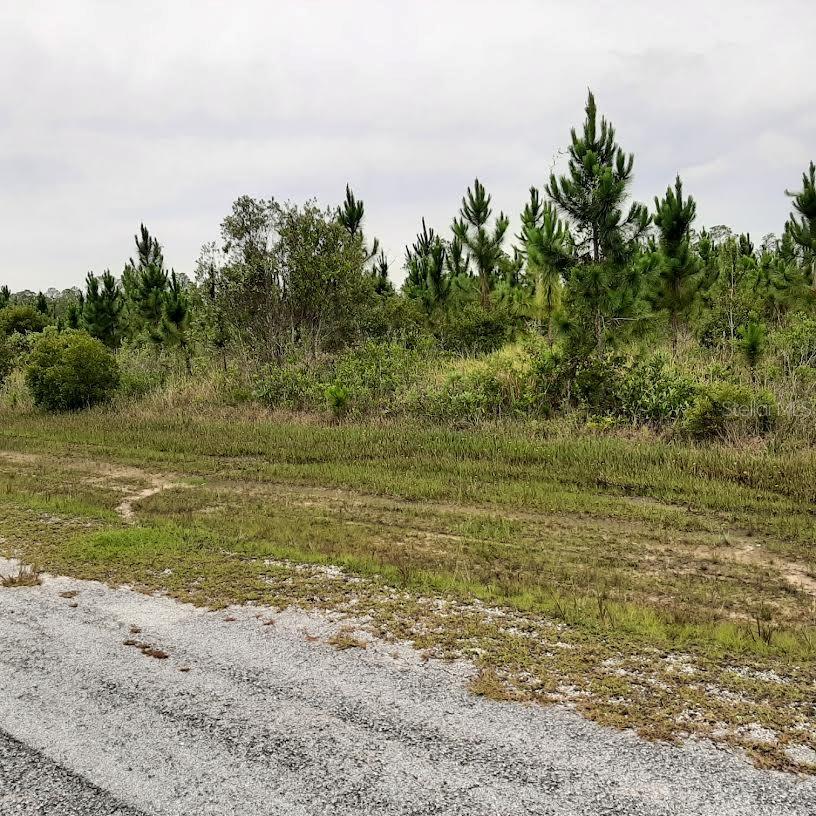 CALLIANDRA DR Property Photo 1