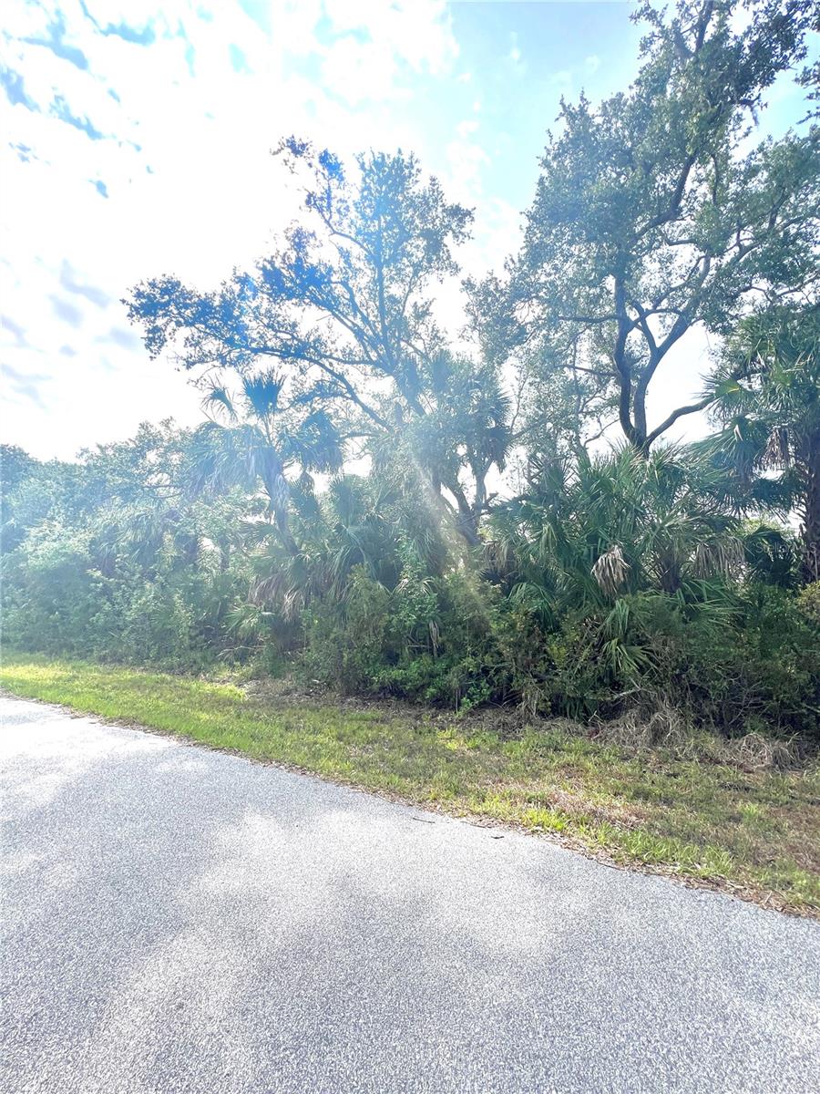 1419 Lace Ter Property Photo 3