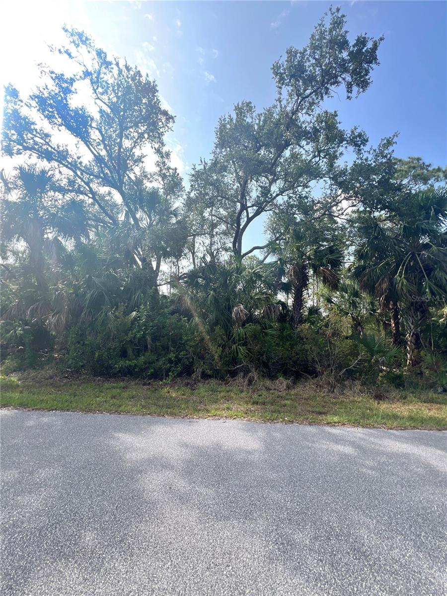1419 Lace Ter Property Photo 4