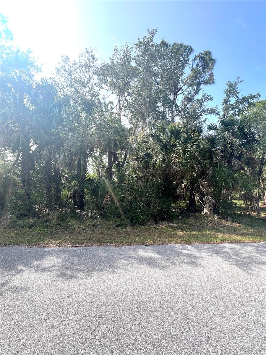 1419 Lace Ter Property Photo 8