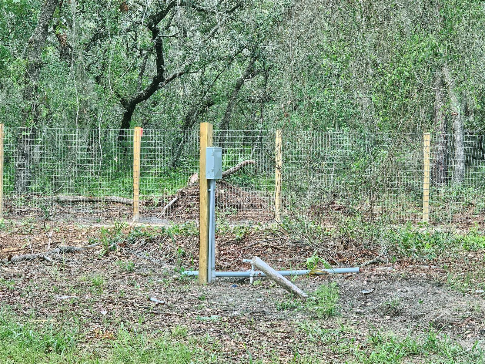 17132 Ridgeline Trl Property Photo 4
