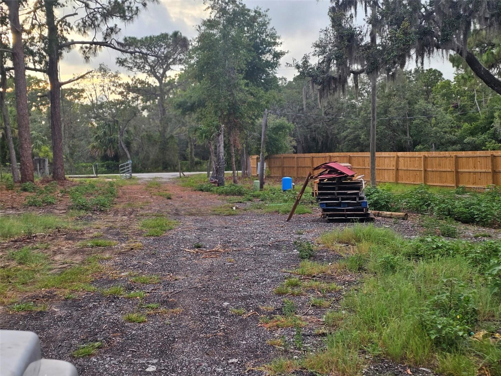 17132 Ridgeline Trl Property Photo 5