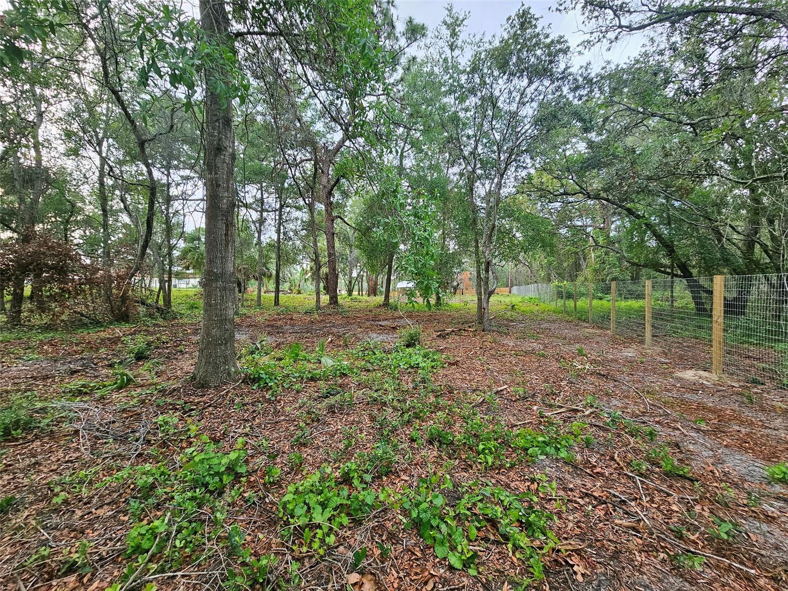 17132 Ridgeline Trl Property Photo 6