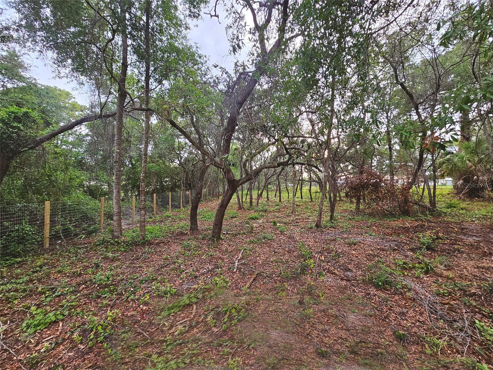 17132 Ridgeline Trl Property Photo 11