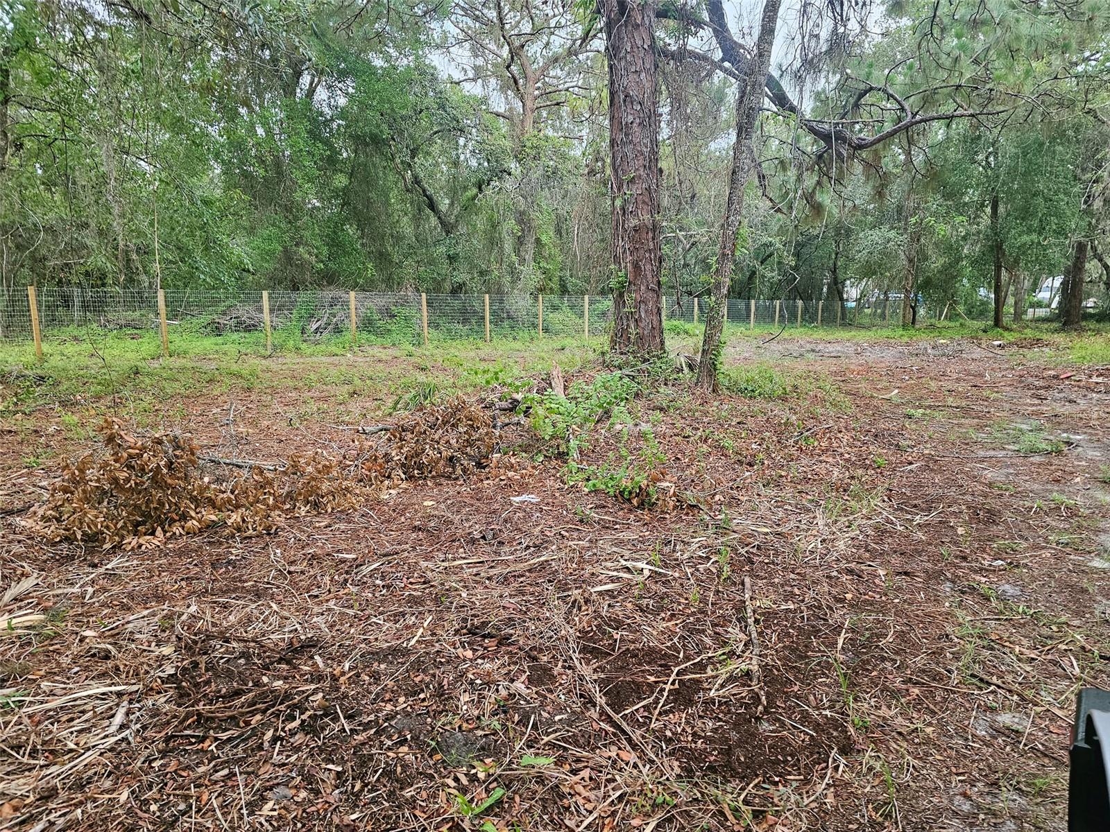 17132 Ridgeline Trl Property Photo 12