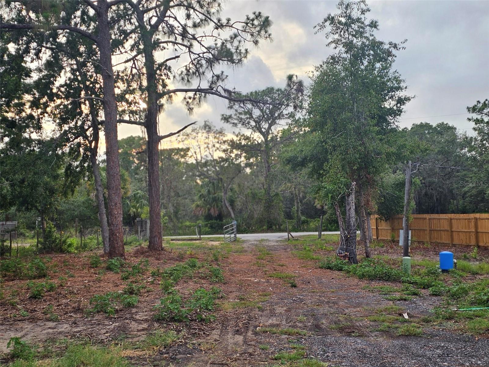 17132 Ridgeline Trl Property Photo 16