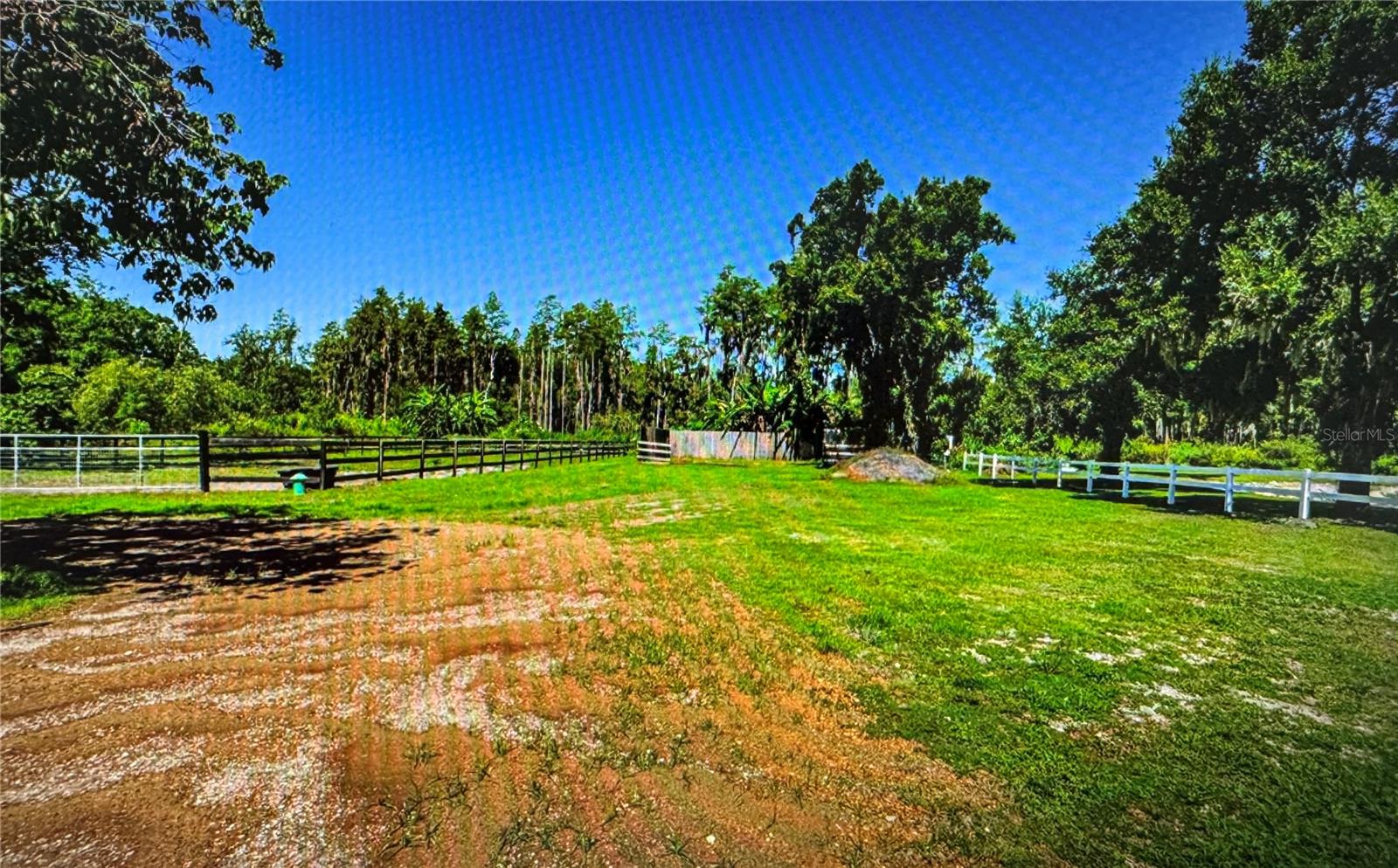 10502 Henderson Rd Property Photo 13