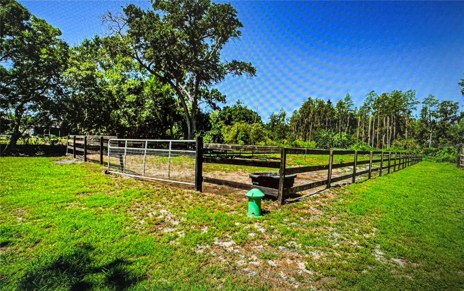 10502 Henderson Rd Property Photo 16