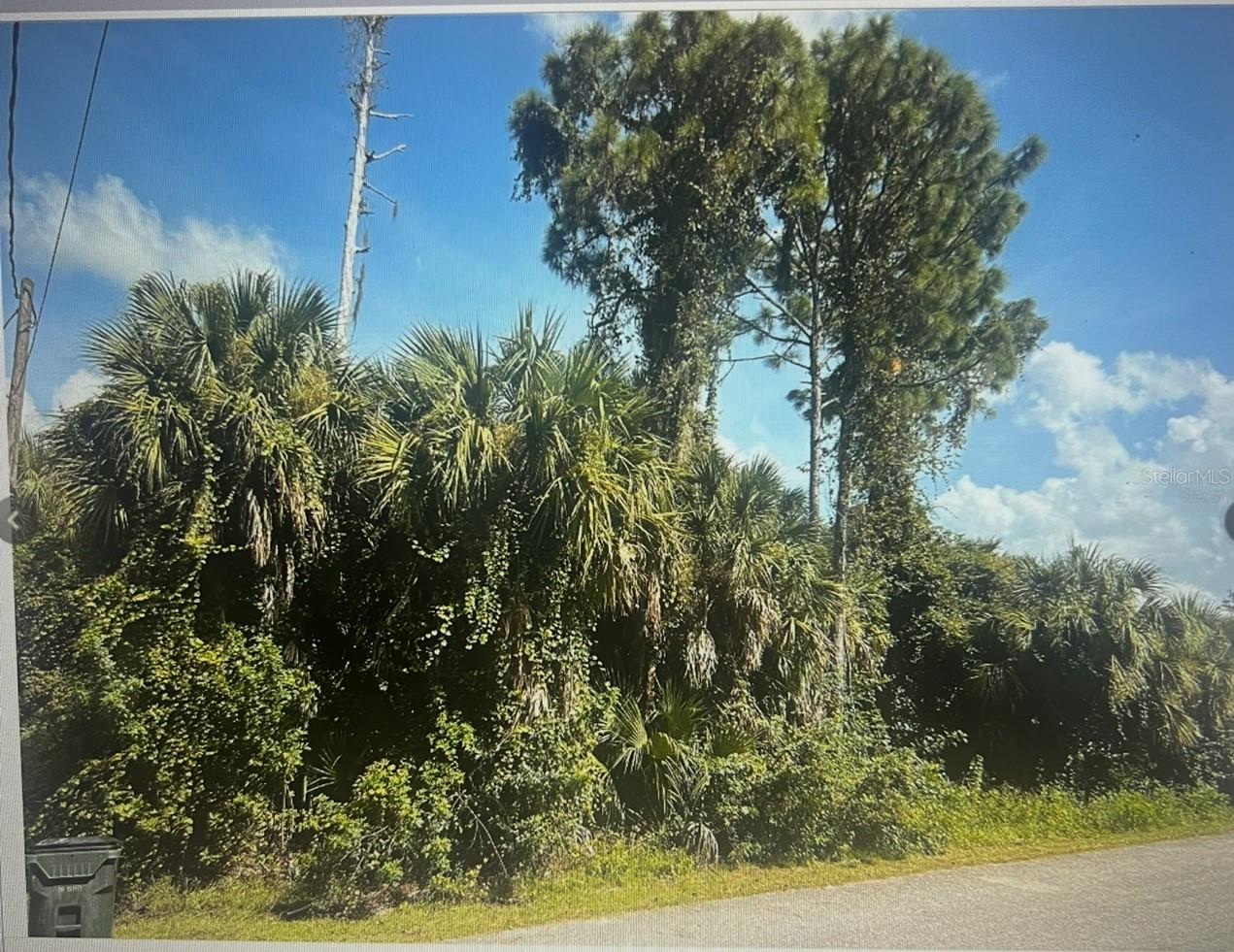NEW MILFORD Property Photo 1