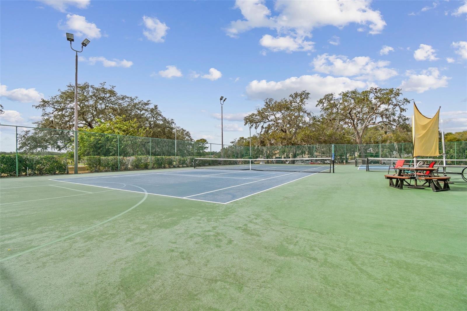 13127 Topflite Ct Property Photo 98
