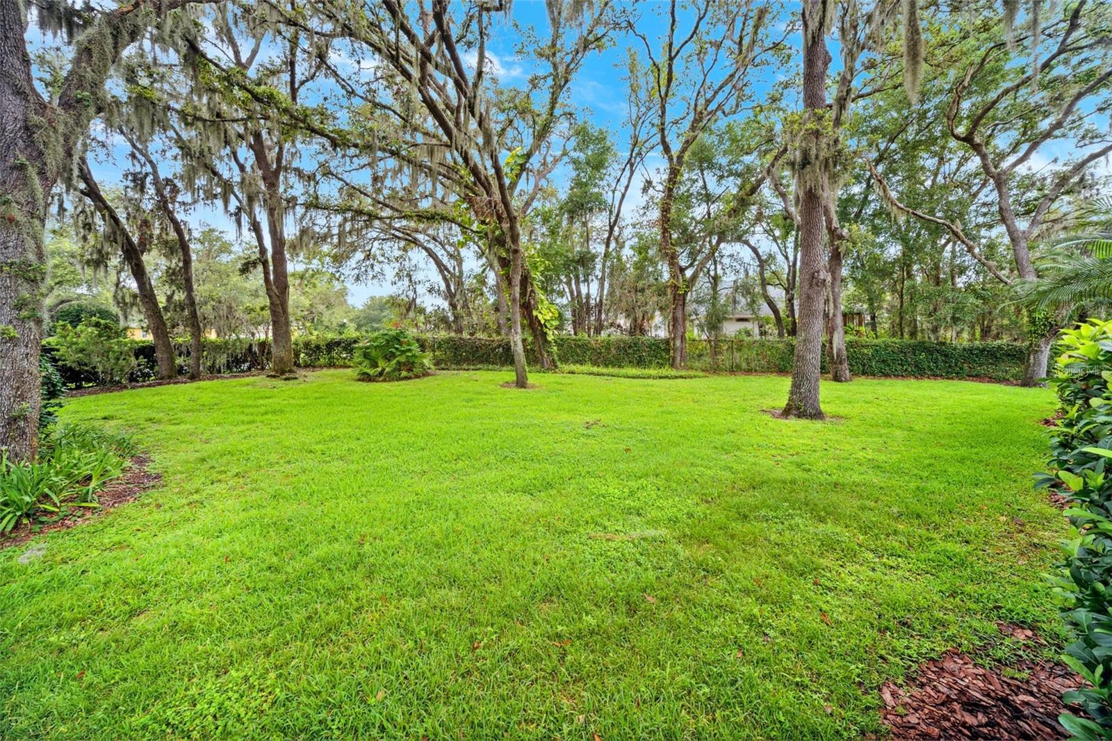17802 Mission Oak Dr Property Photo 66