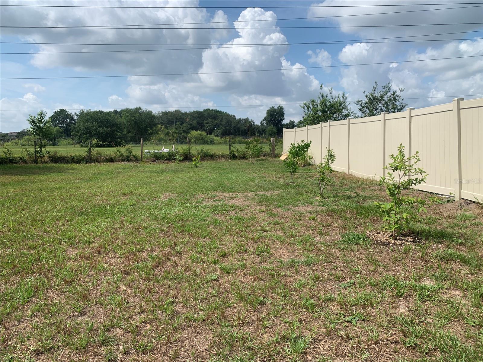 11513 Andy Dr Property Photo 42