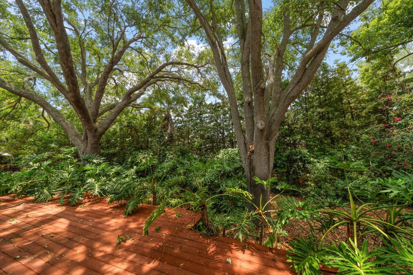 7 Rosery Ln Property Photo 57