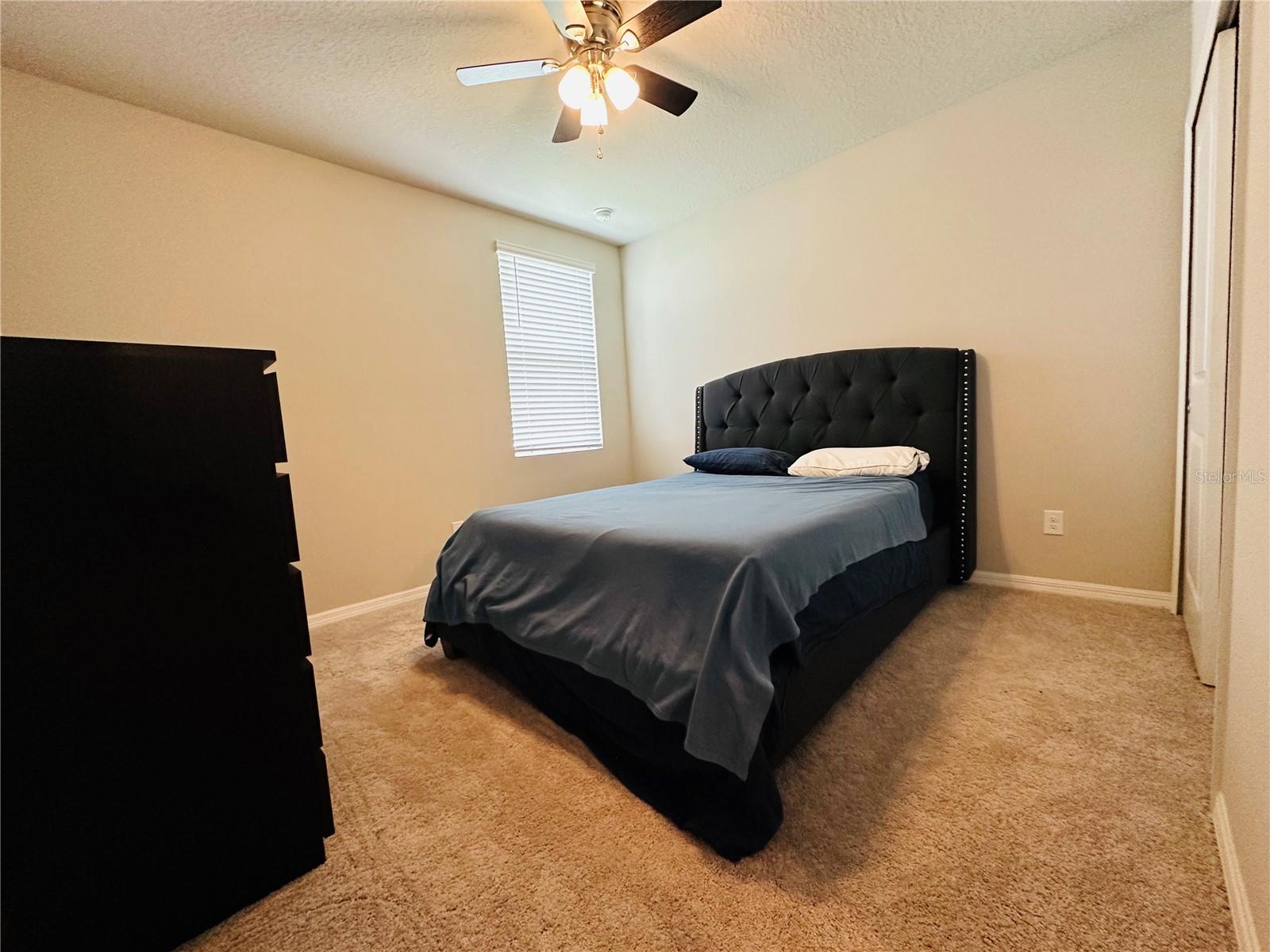 219 Lovely Ct Property Photo 7