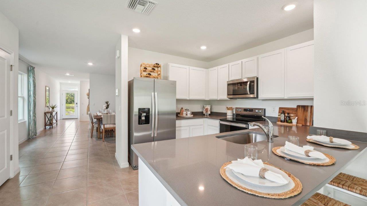 33050 Osprey Peak Way Property Photo 6