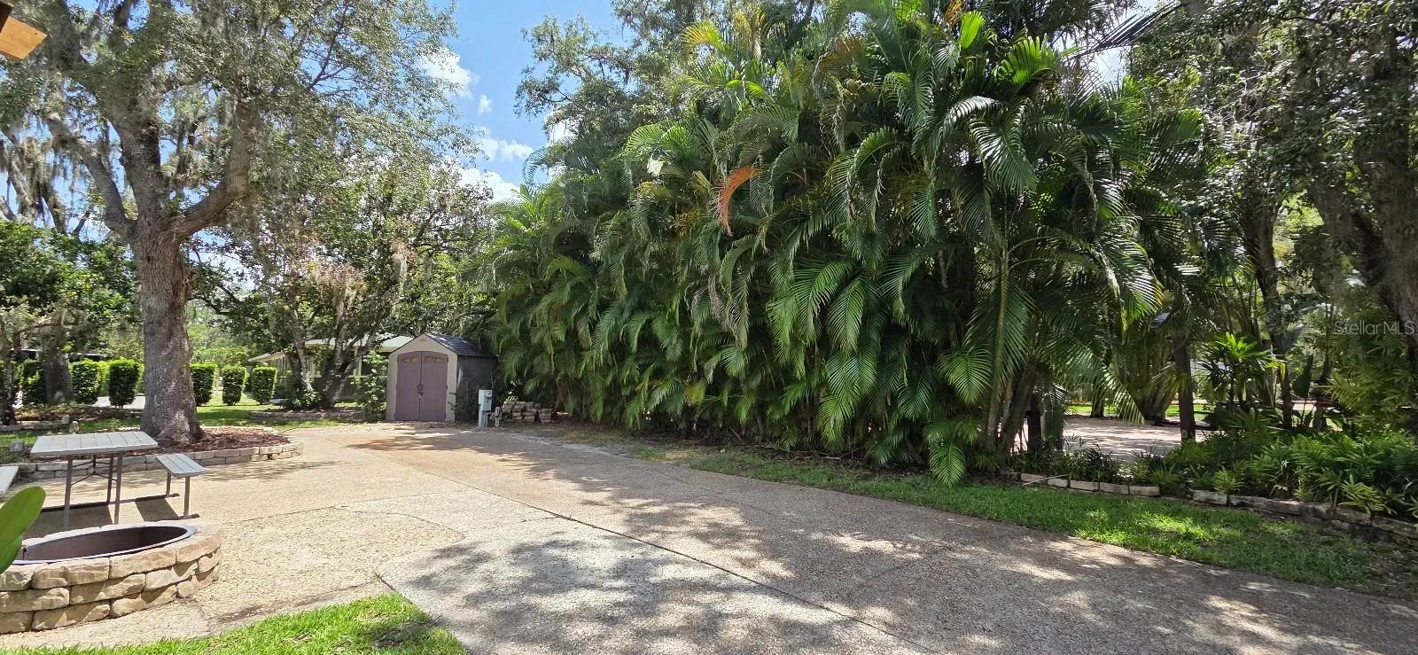 374 Bear Trl Property Photo 4