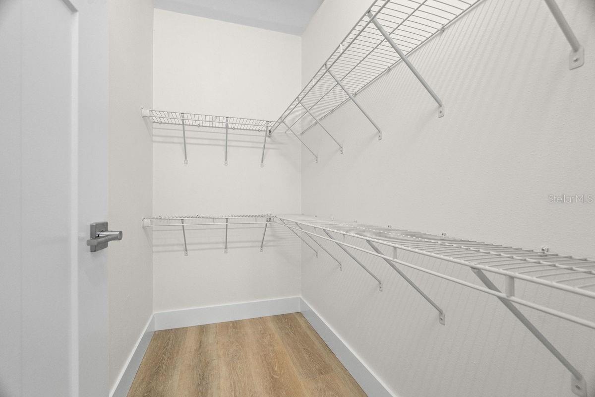 617 Scotland St Property Photo 22