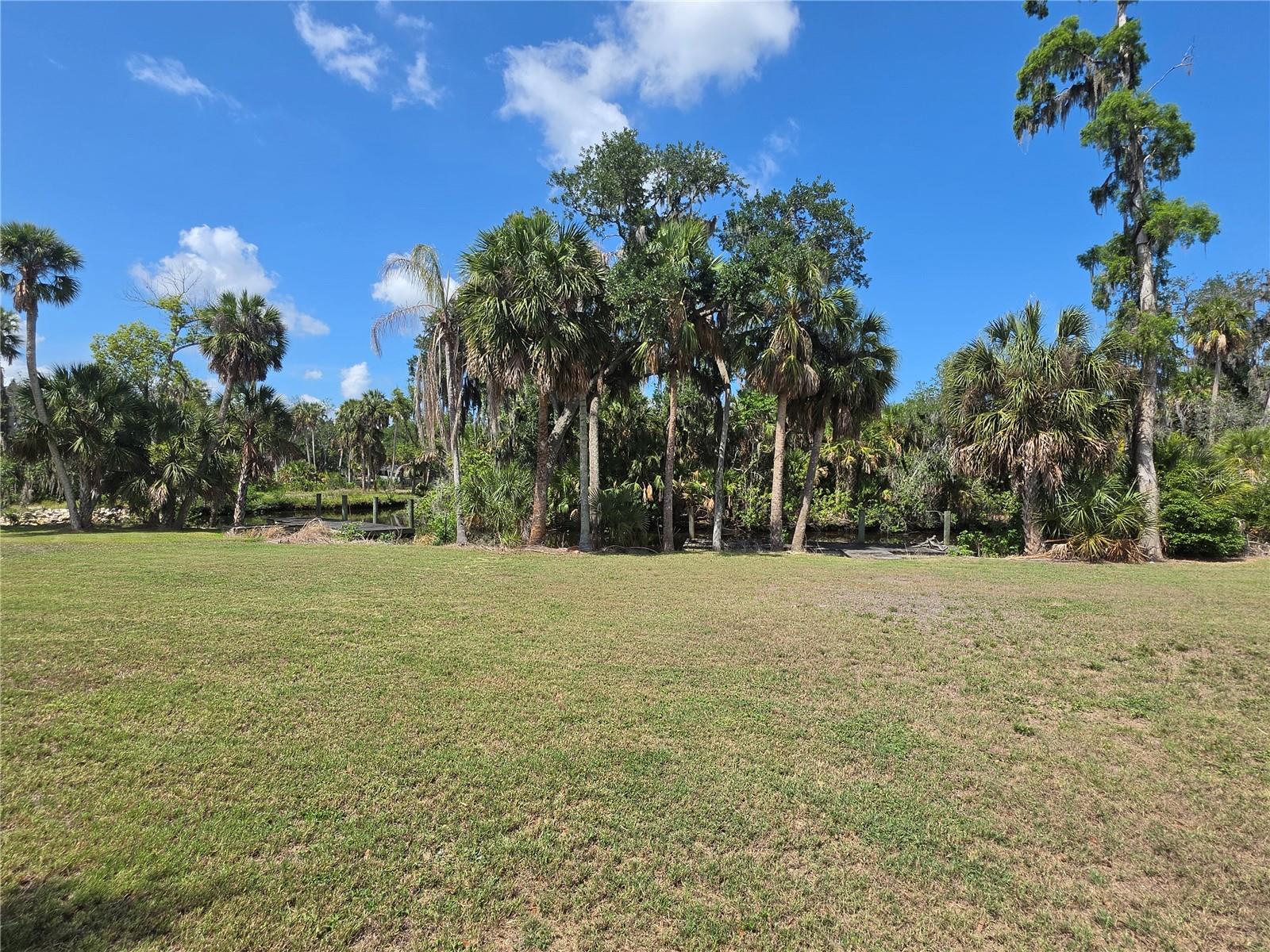 8331 Alafia Pointe Dr Property Photo 23