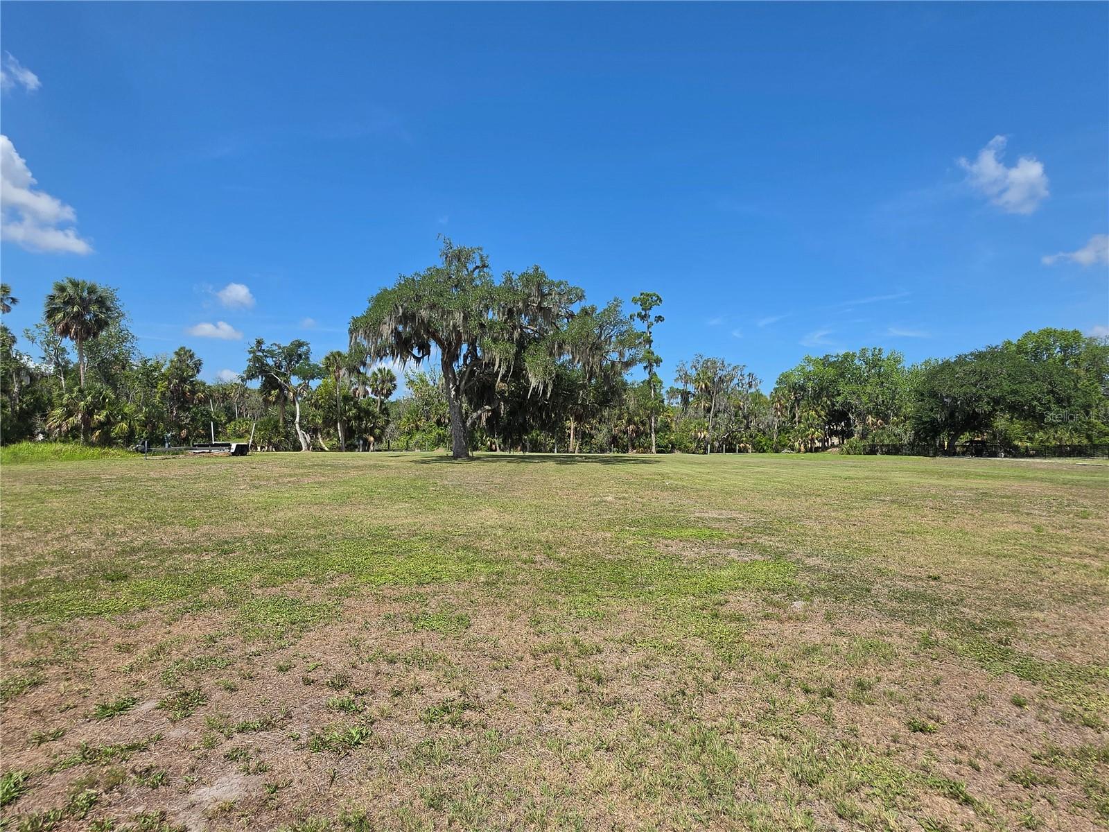 8331 Alafia Pointe Dr Property Photo 24
