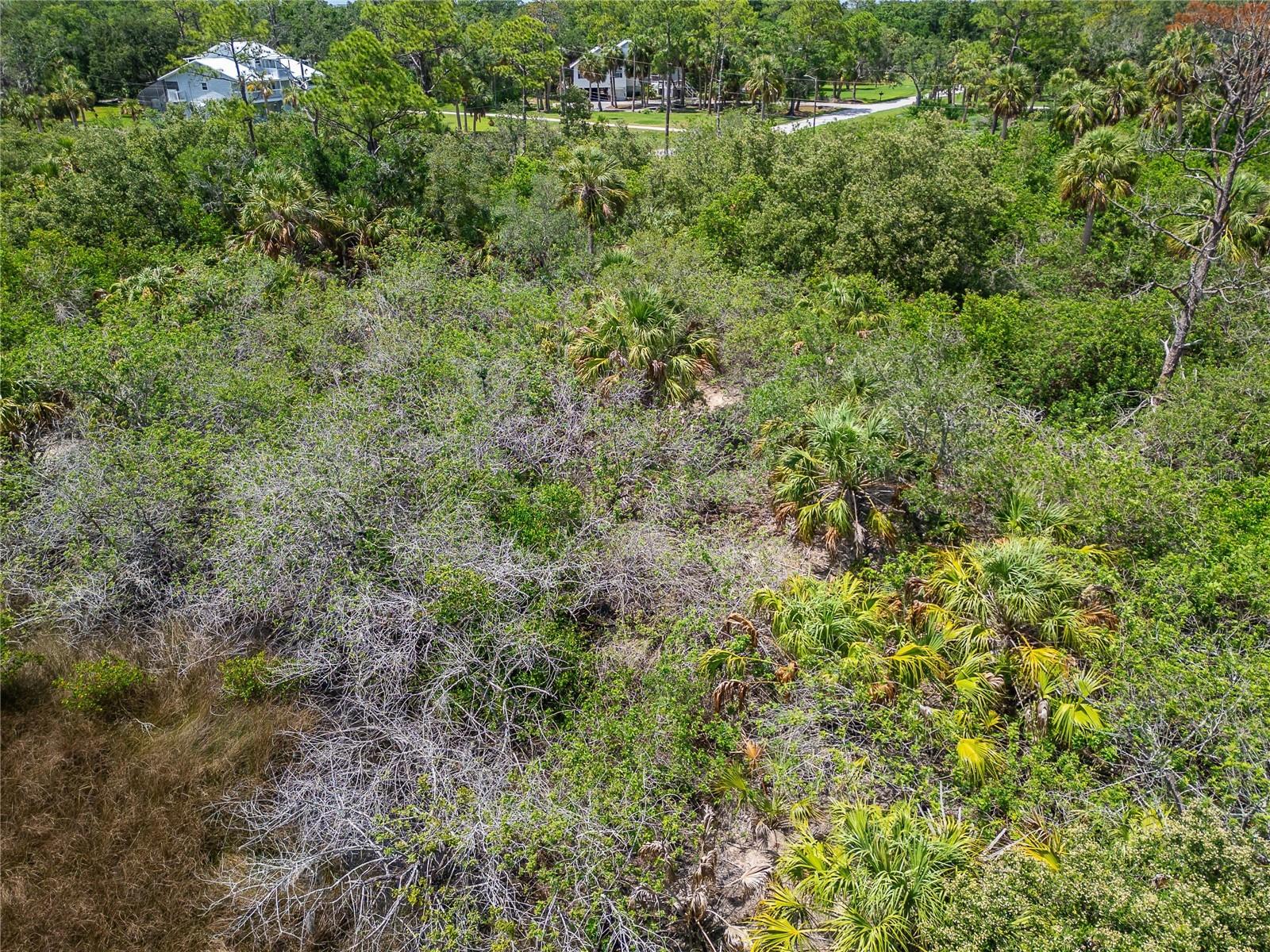 Strathmore Ave Property Photo 22